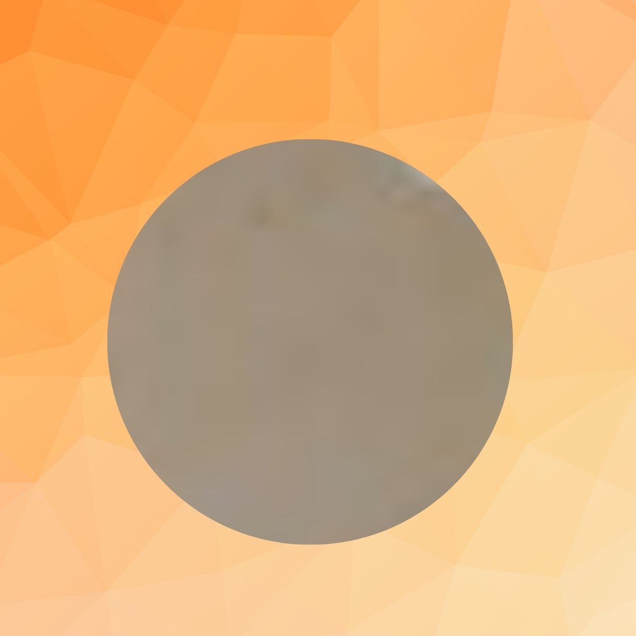 mica discs